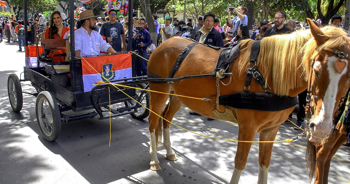 Pisa de la uva, Festival de la Viña y el Vino, Tarija